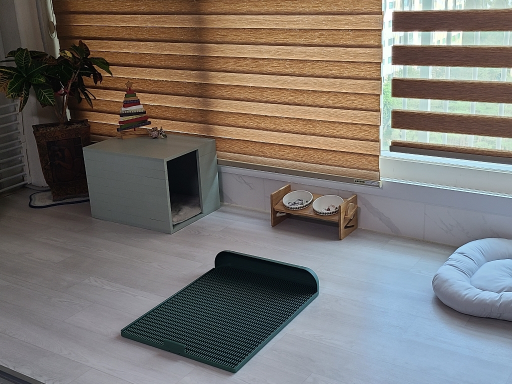 독톡 배변판, 올리브그린, 1개 솔직 후기 | 실사용자 리뷰 분석 썸네일