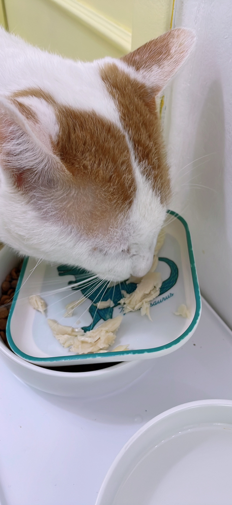 웁스 반려동물 닭가슴살 간식 솔직 후기 | 실제 사용자 리뷰 총정리 - 상품 이미지 2