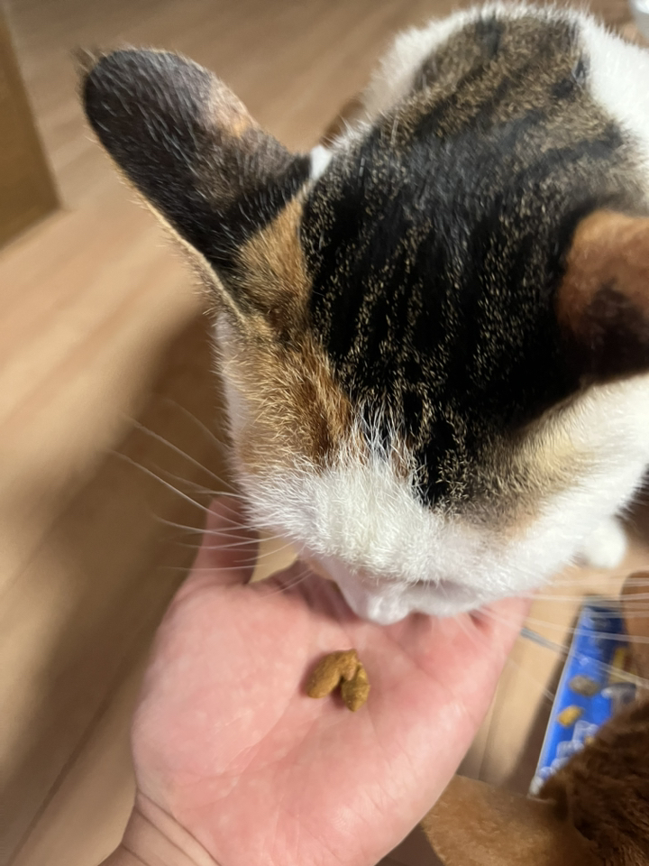 프리스키 고양이 파티믹스 간식 솔직 후기 | 실제 사용자 리뷰 총정리 - 상품 이미지 3