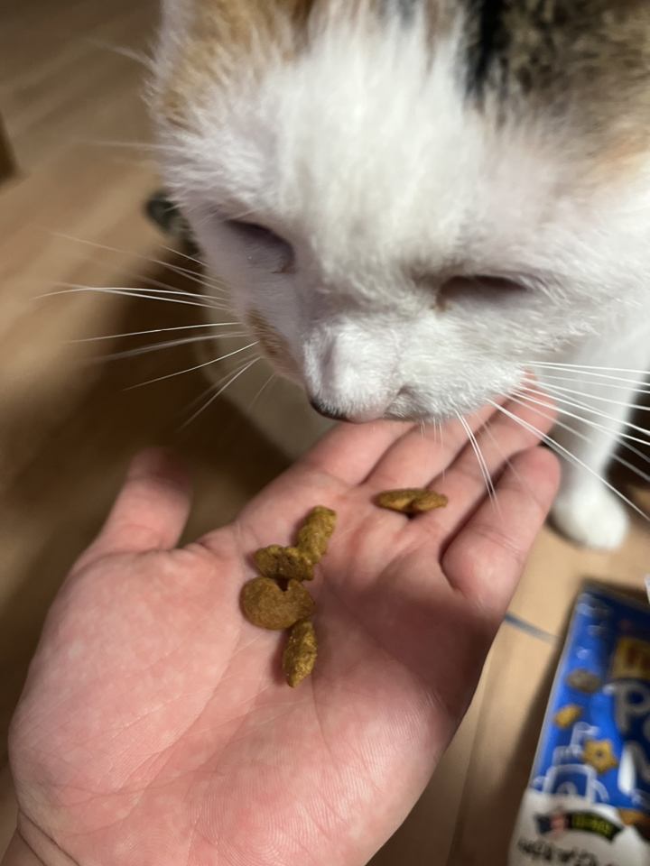 프리스키 고양이 파티믹스 간식 이미지 4