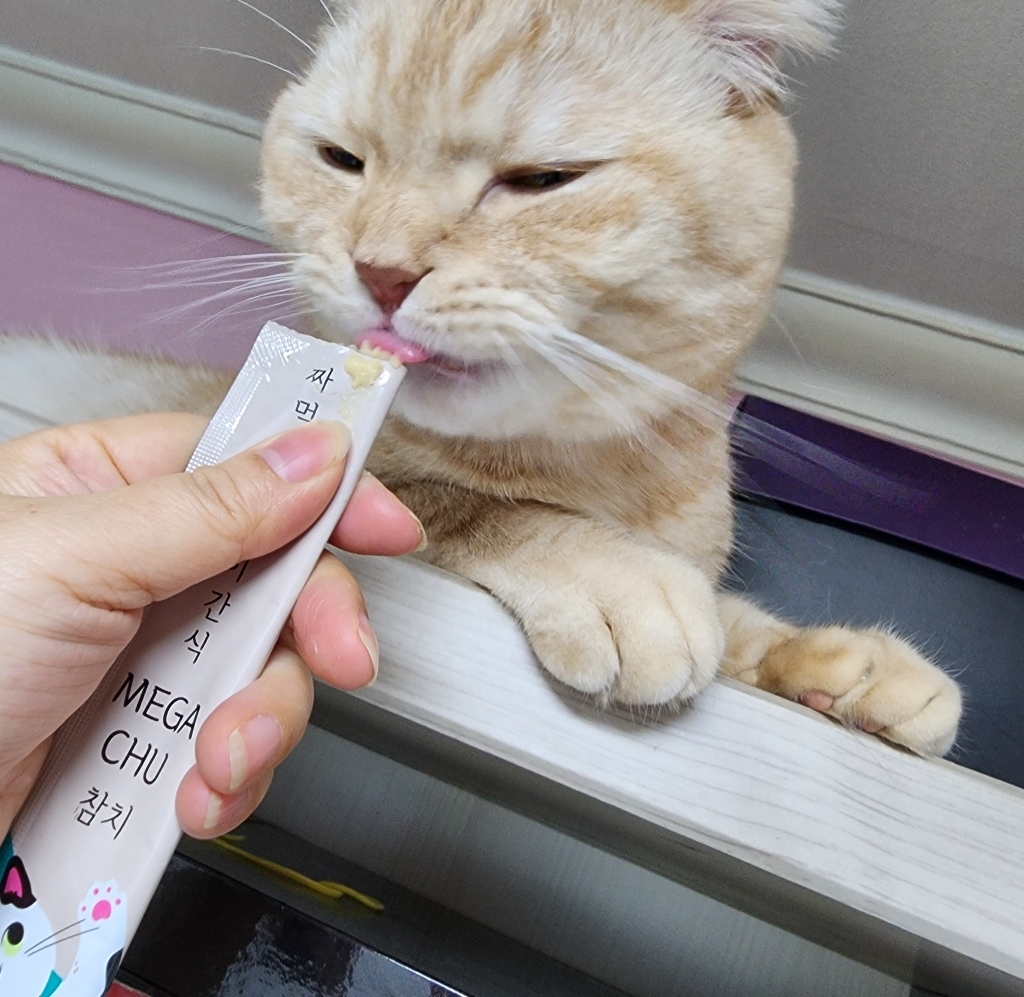 메가츄 짜먹는 고양이 간식 츄 90스틱 대용량 2개 솔직 후기 | 실제 사용자 리뷰 총정리 - 상품 이미지 3