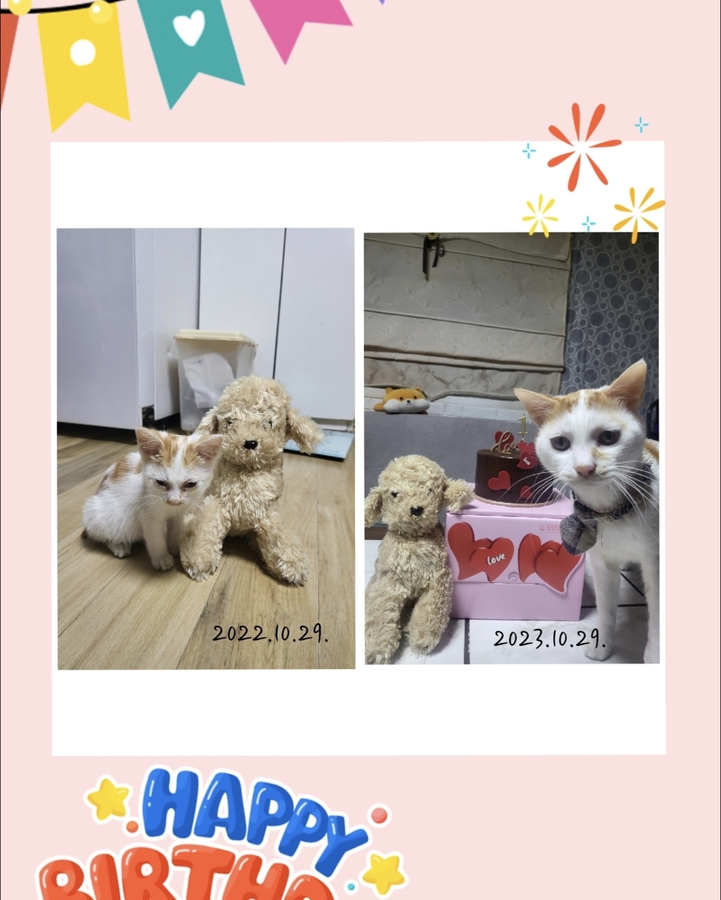 생후 1개월 2개월 이상 아기고양이 새끼고양이 이유식 습식 사료 솔직 후기 | 실제 사용자 리뷰 총정리 - 상품 이미지 2