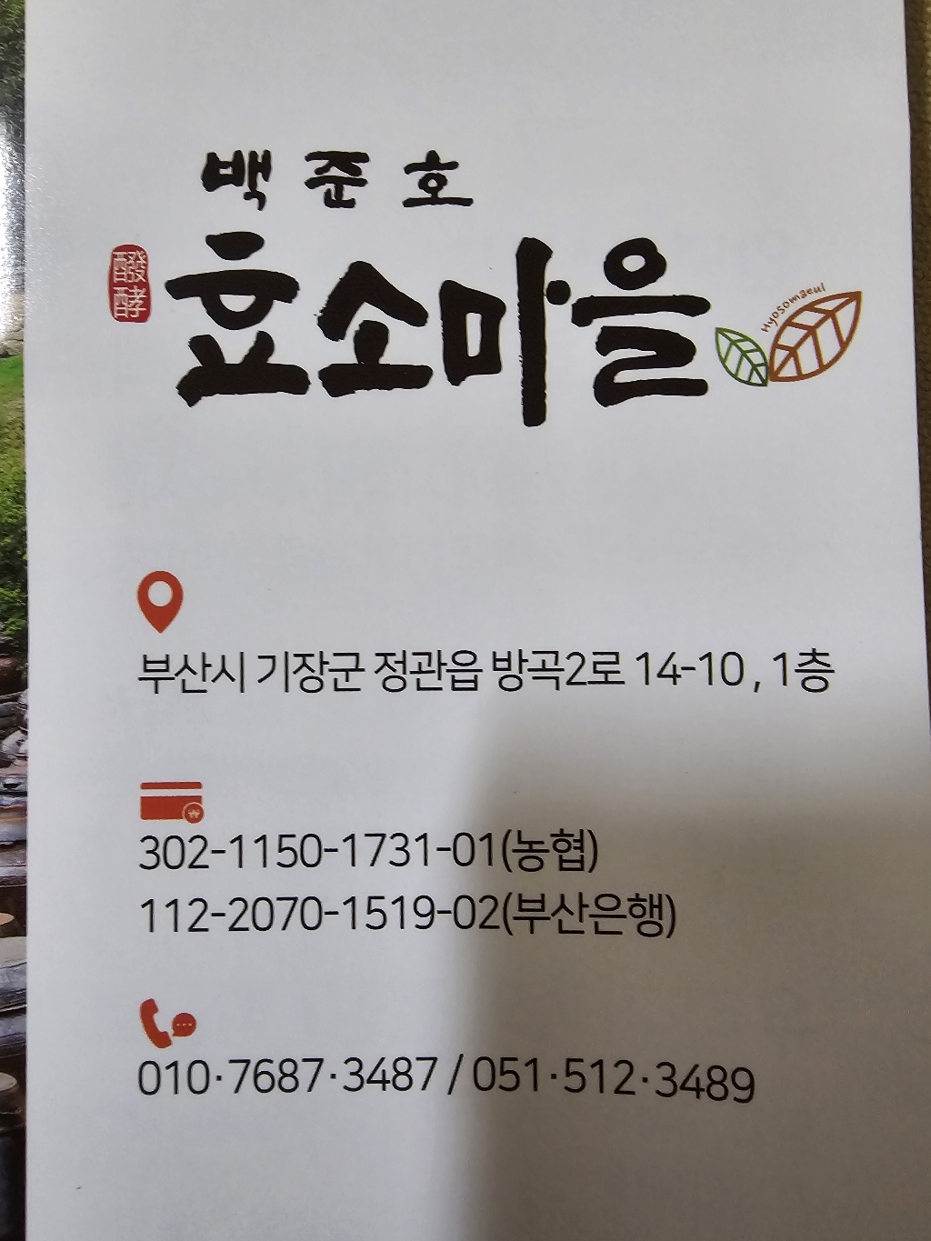 백준호 효소마을 발효강황 가루 500g, 1개 이미지 4