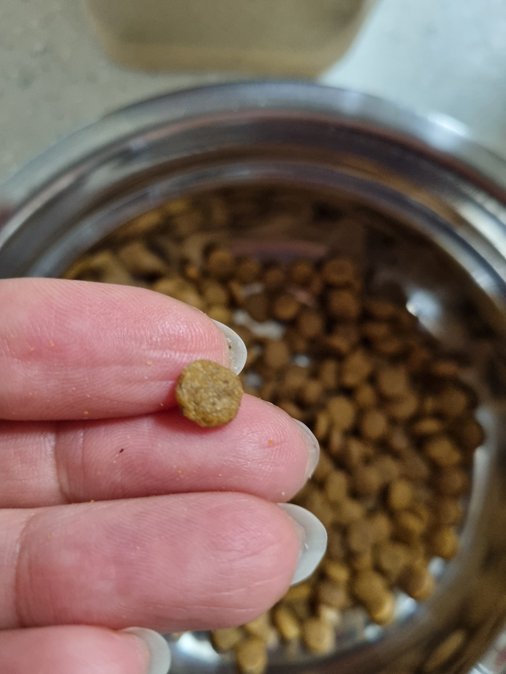 건강백서 전연령 강아지 기능성 사료 솔직 후기 | 실제 사용자 리뷰 총정리 - 상품 이미지 3