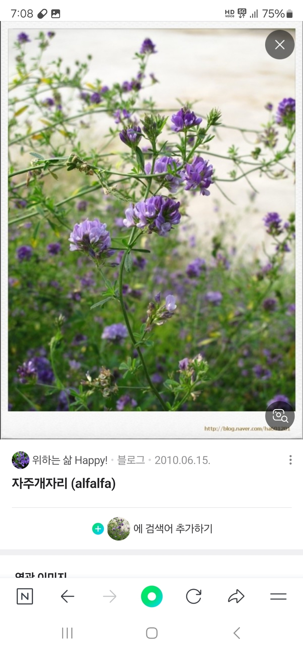 캐나다 록키 수입 벌꿀 석청 아이스허니 크림꿀 1kg 1kg, 1개 솔직 후기 | 실사용자 리뷰 분석 - 상품 이미지 4