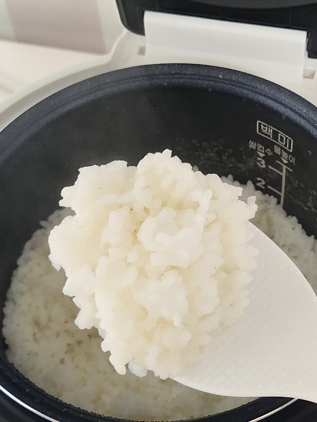 쿠첸 마이컴 크리미 미니 밥솥 3~4인용 솔직 후기 | 실사용자 리뷰 분석 - 상품 이미지 3