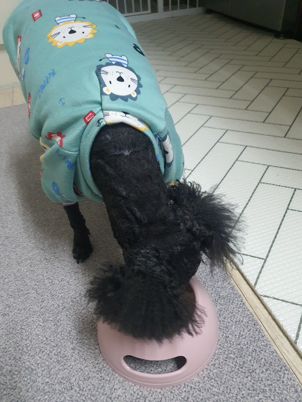 밥이보약 강아지 기능성 사료 이미지 3