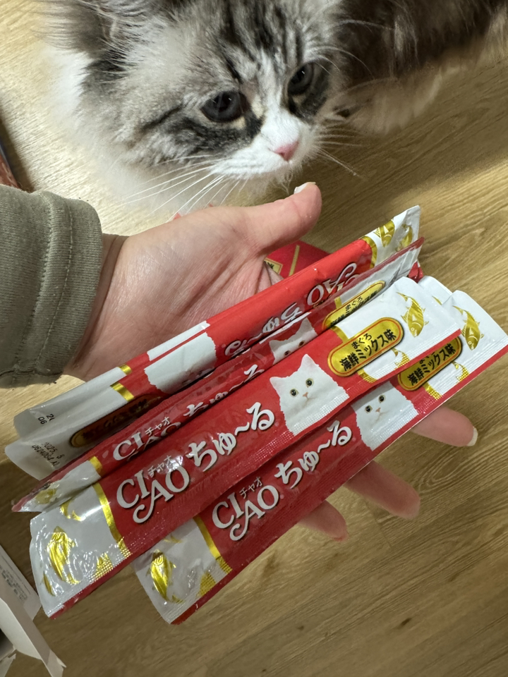 챠오츄르 고양이 짜먹는 간식 이미지 4