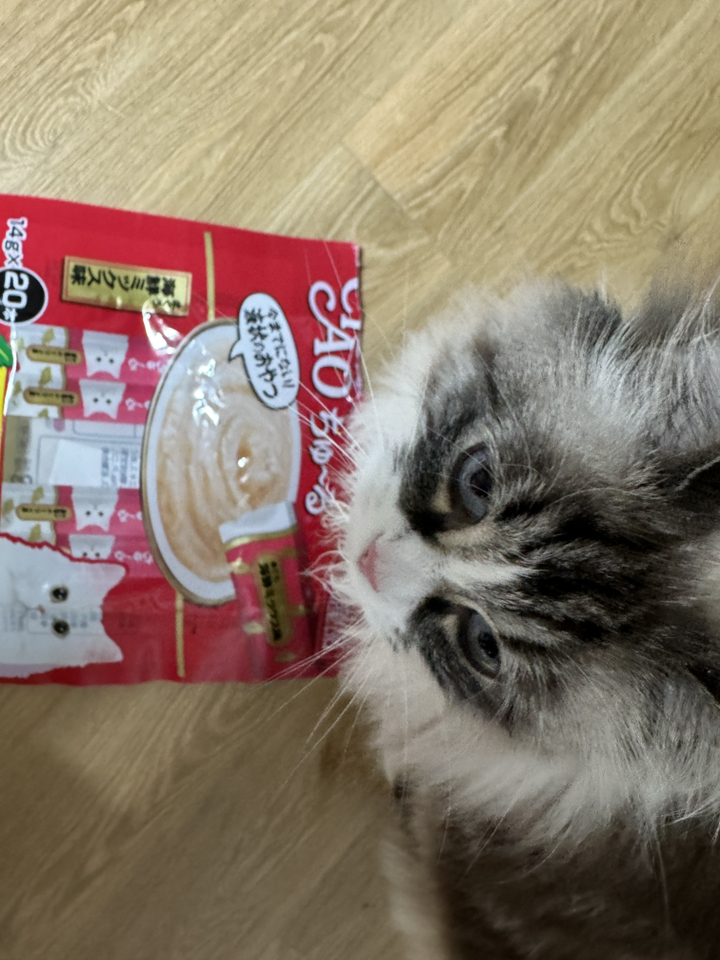 챠오츄르 고양이 짜먹는 간식 이미지 3