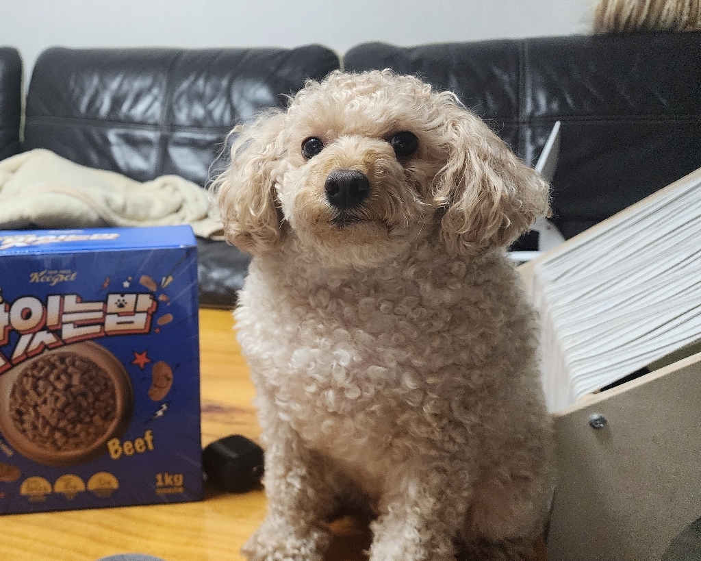 리뷰 이미지