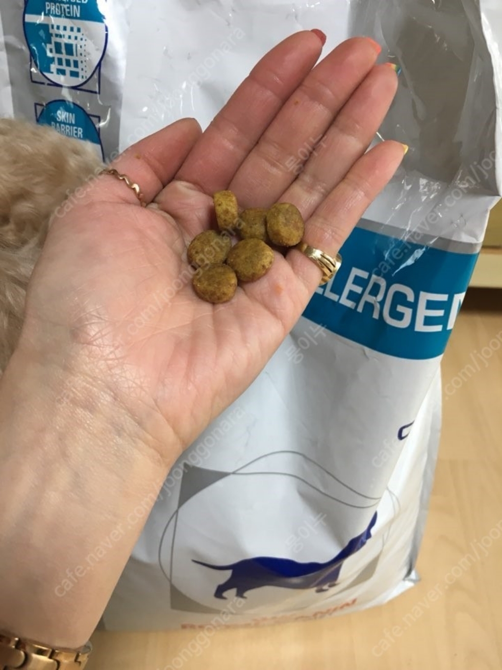 로얄캐닌 독 하이포알러제닉 2kg 강아지 피부질환 알러지 처방사료 솔직 후기 | 실제 사용자 리뷰 총정리 - 상품 이미지 2