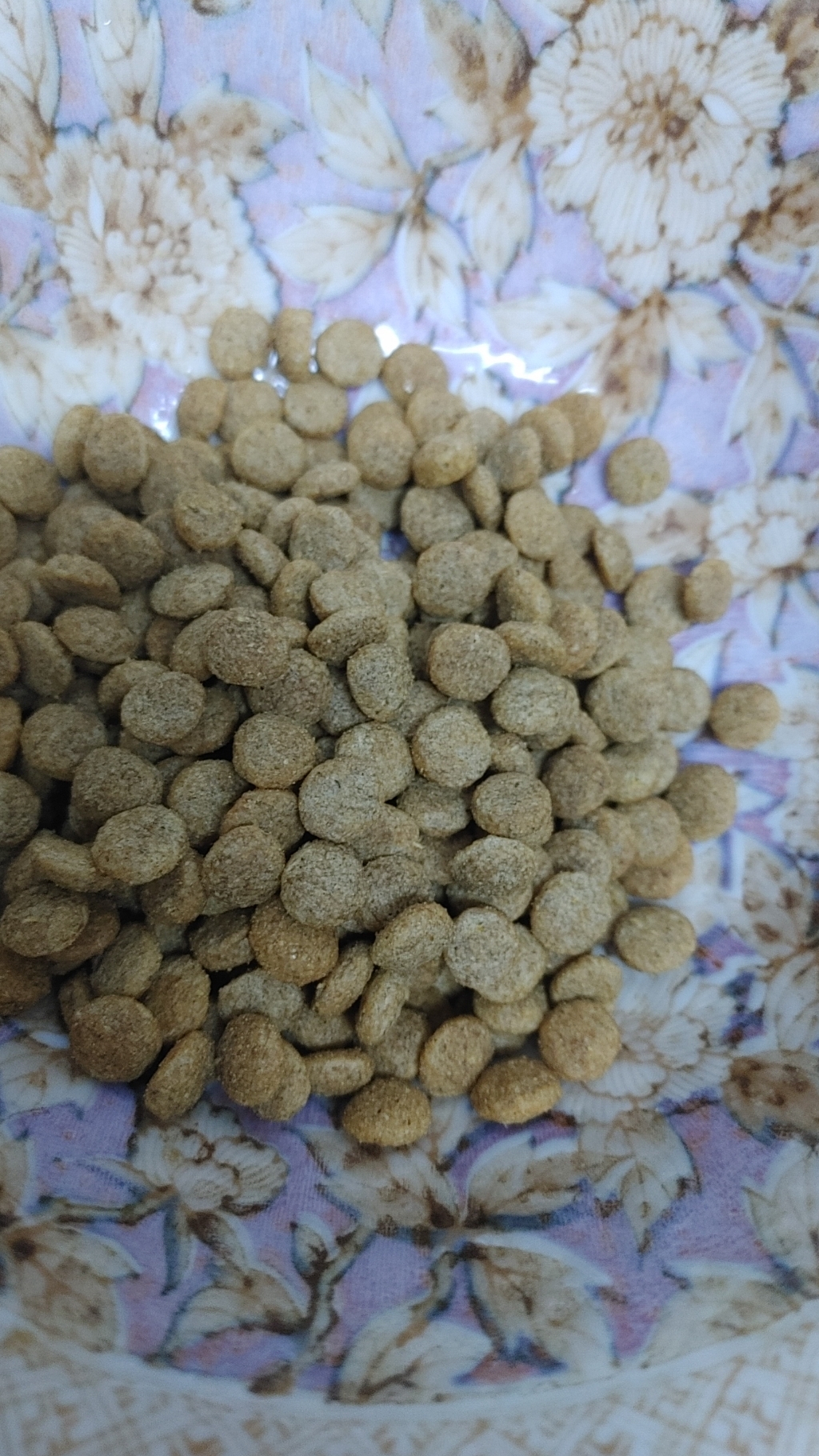 [로얄캐닌] 독 가스트로인테스티널 로우팻 스몰독 1.5kg 이미지 4