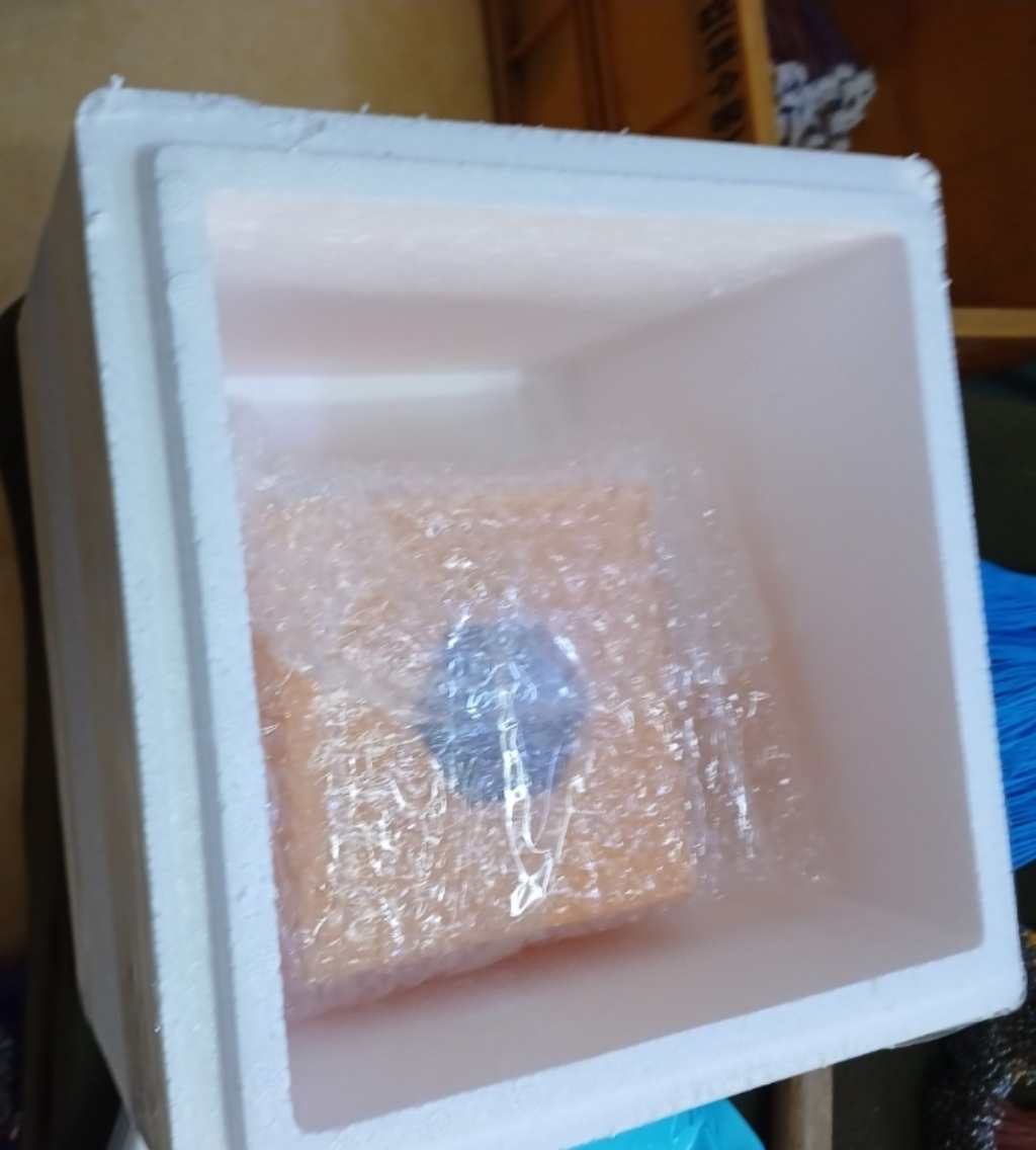 포라비 생 로얄제리 250g, 1개 맛있게 먹은 솔직 후기 - 상품 이미지 3