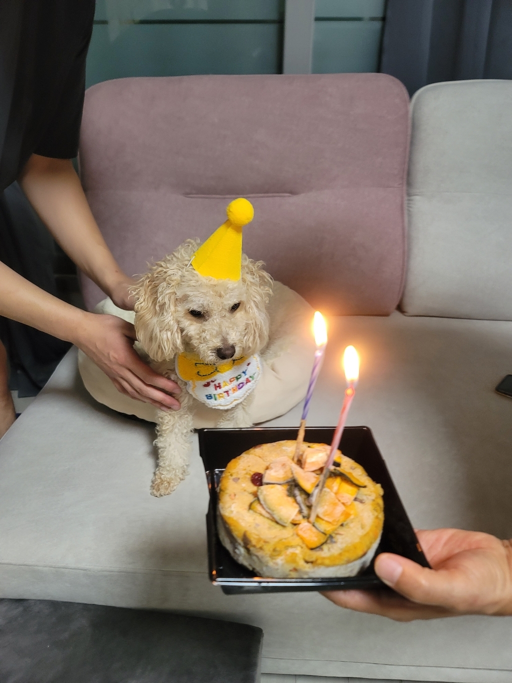 리뷰 이미지