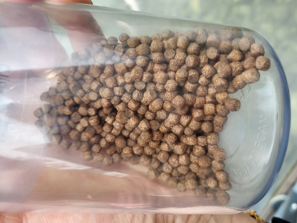 구딘 잉어사료 이미지 4