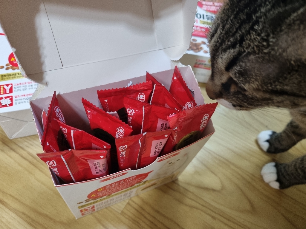 챠오츄르 전연령 고양이 스고이 유산균 크런키 건식사료 이미지 4