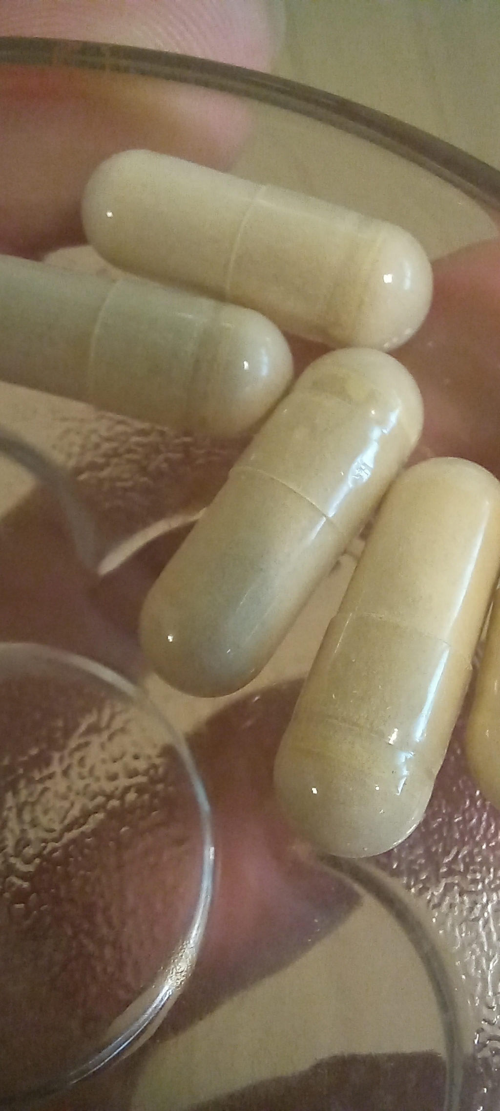 나우푸드 실리마린 밀크 시슬 추출물 300mg 베지 캡슐 200정, 1개 이미지 3