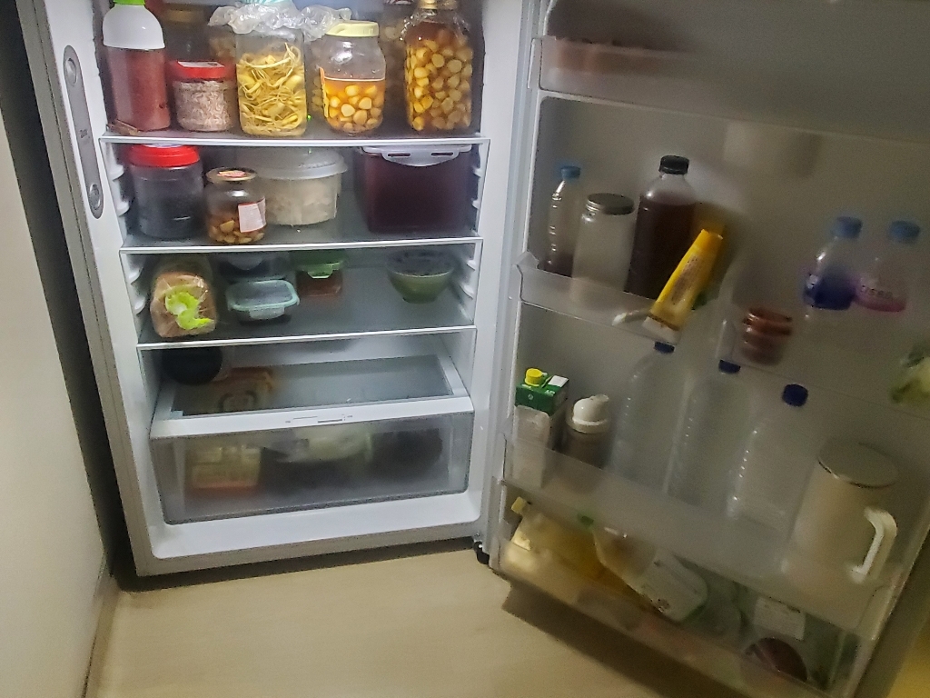 LG전자 507L 일반형냉장고 이미지 4