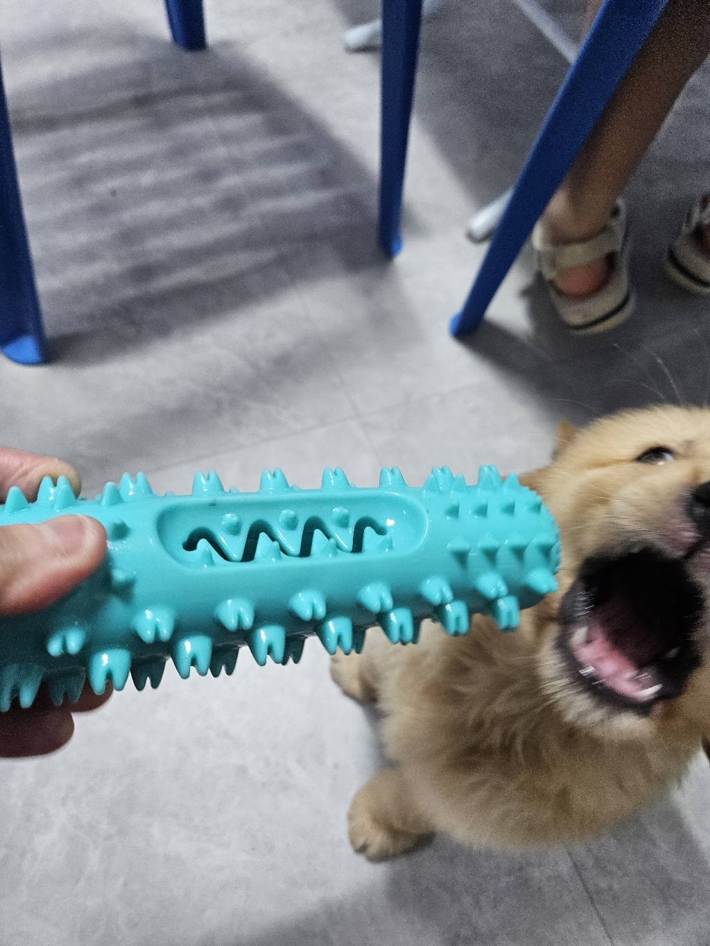 리뷰 이미지