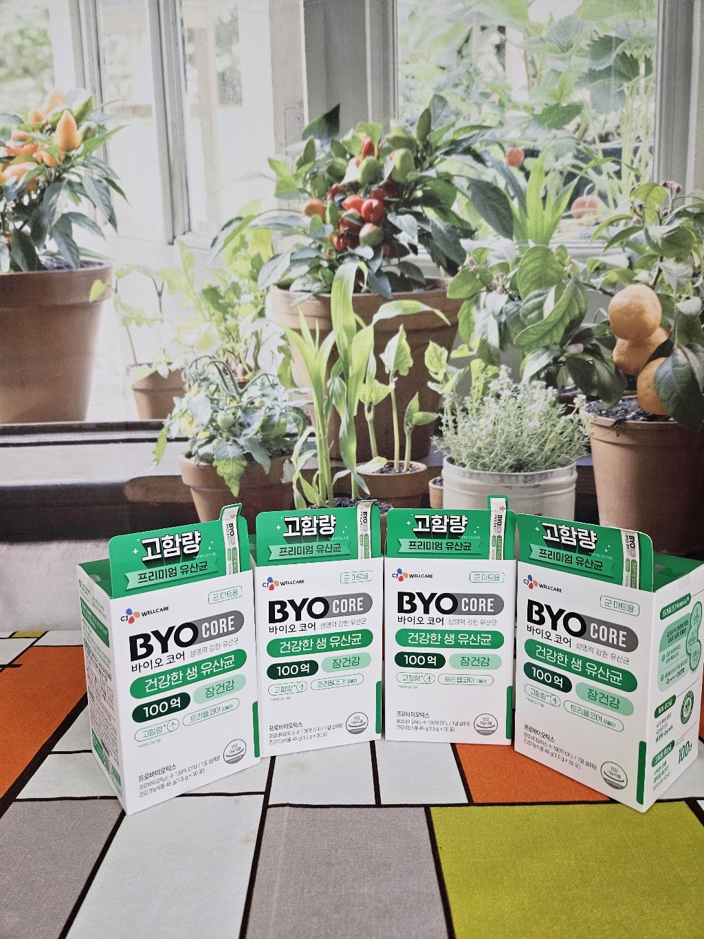 BYO 코어 건강한 생유산균 100억 30개입 45g, 1개 솔직 후기 | 실사용자 리뷰 분석 - 상품 이미지 2