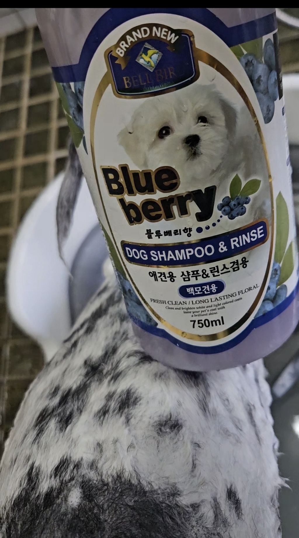 벨버드 애견용 샴푸 린스 겸용 블루베리향 이미지 2