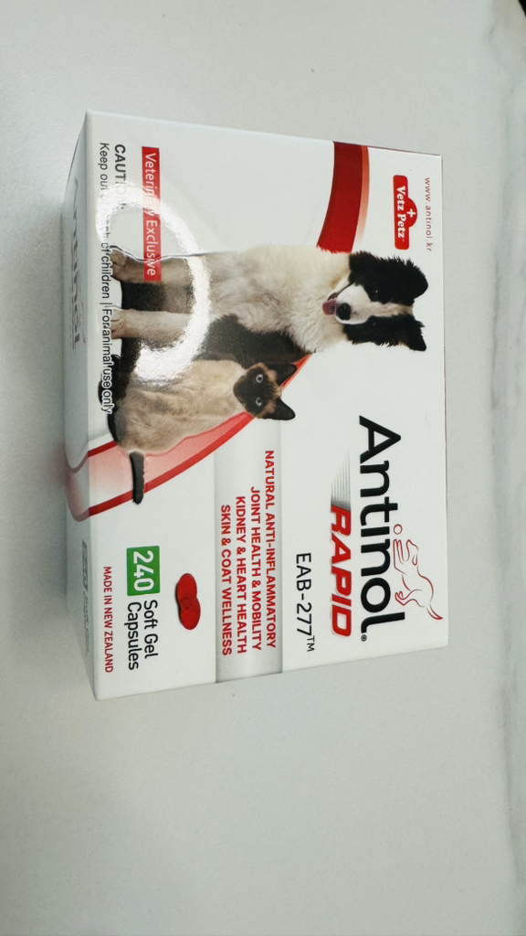 안티놀 래피드 30정 (강아지 고양이 관절영양제) 이미지 3