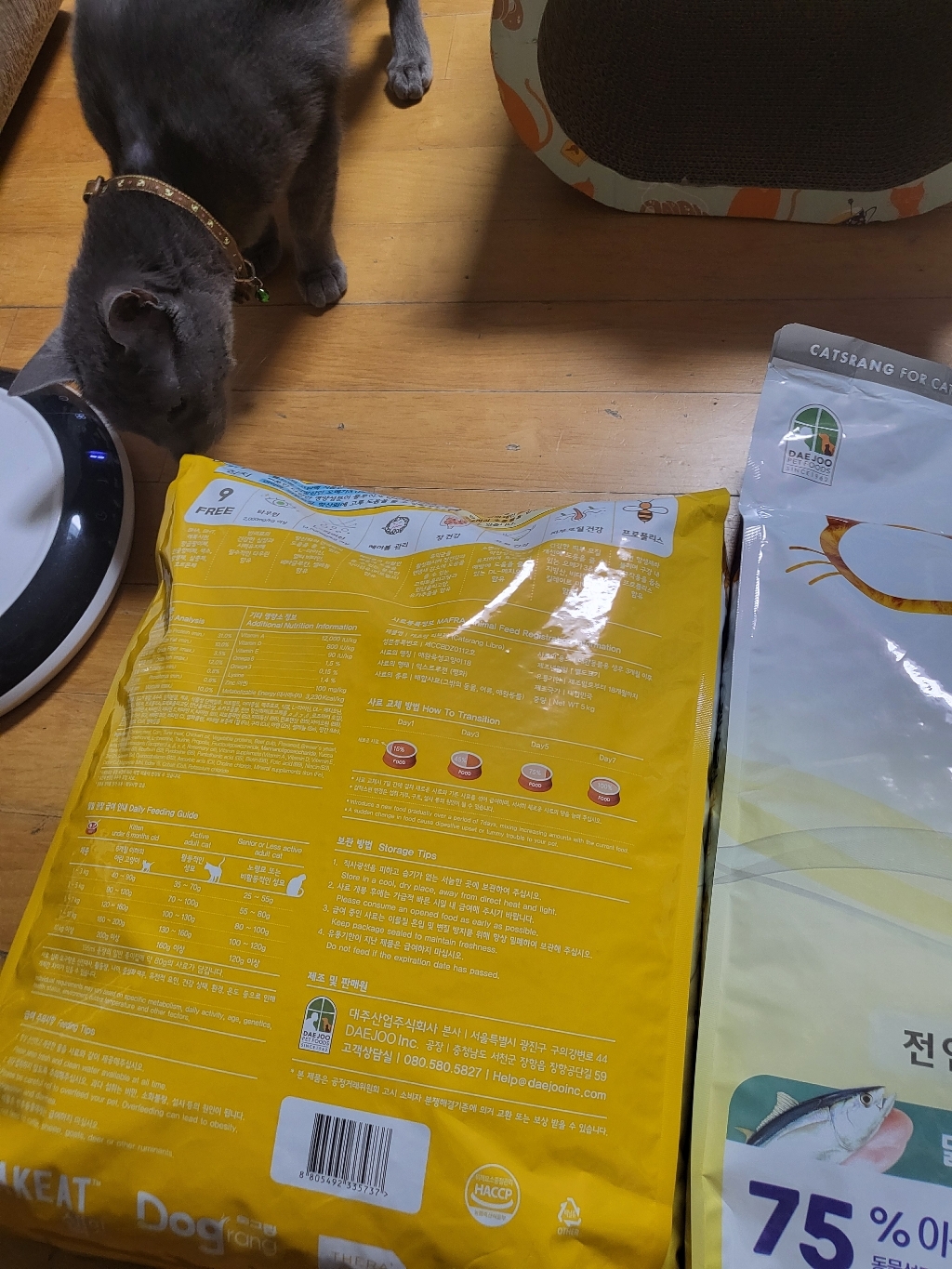 캐츠랑 전연령5kg 캣츠랑 고양이 사료 솔직 후기 | 실제 사용자 리뷰 총정리 - 상품 이미지 3