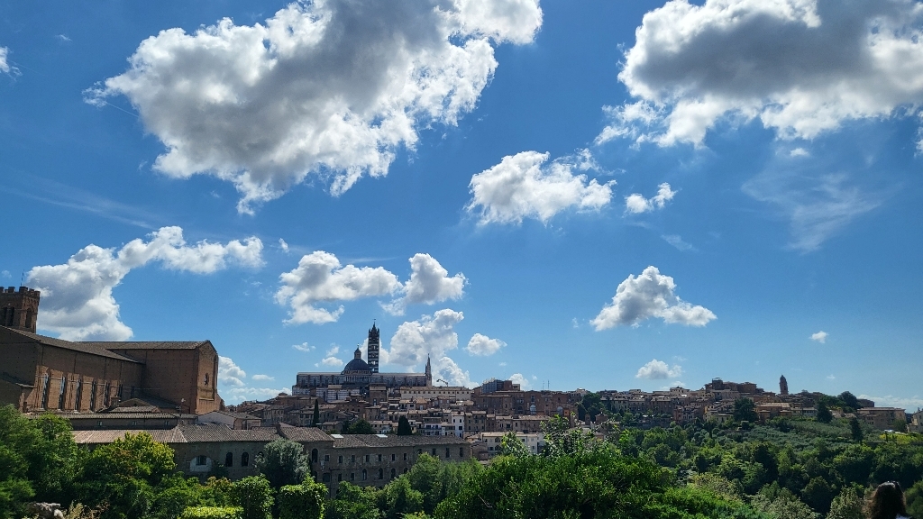 나무커머스 유럽 쓰리 유심칩 이미지 4