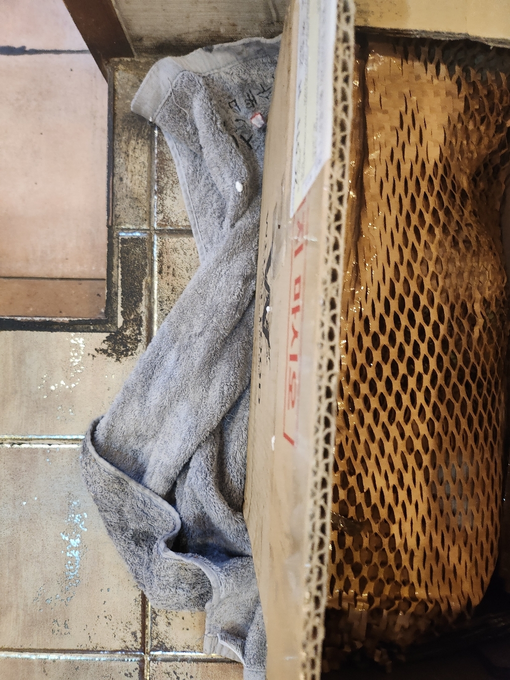 청림농원 아카시아청 벌꿀 2.4kg, 6개 솔직 후기 | 실사용자 리뷰 분석 - 상품 이미지 2