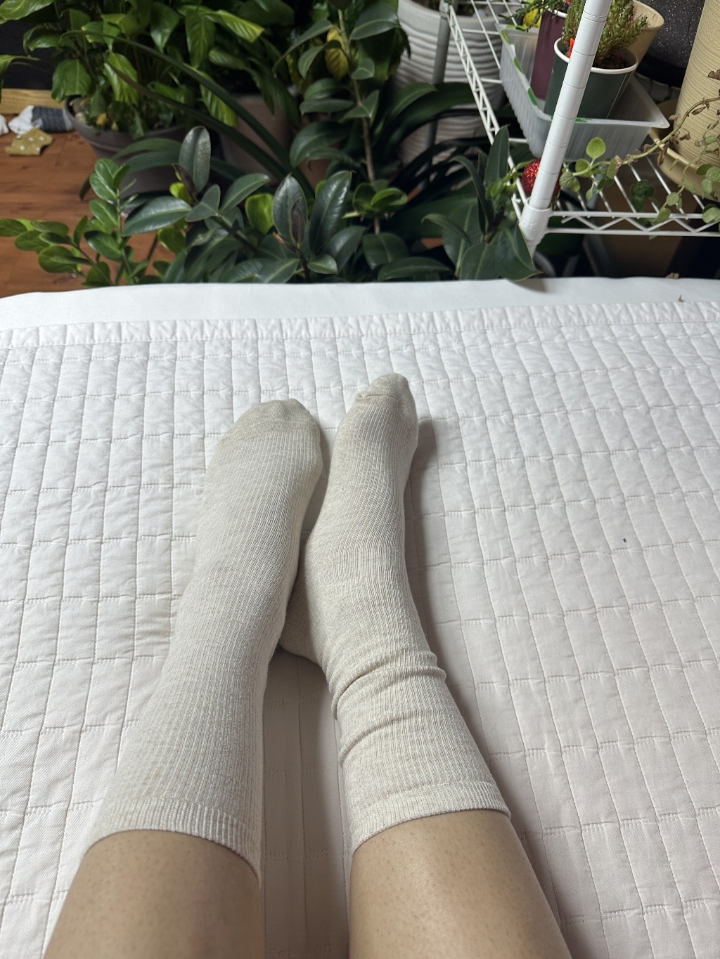 마이싹 골지 롱롱 양말 10켤레 솔직 후기 | 실사용자 리뷰 분석 - 상품 이미지 2