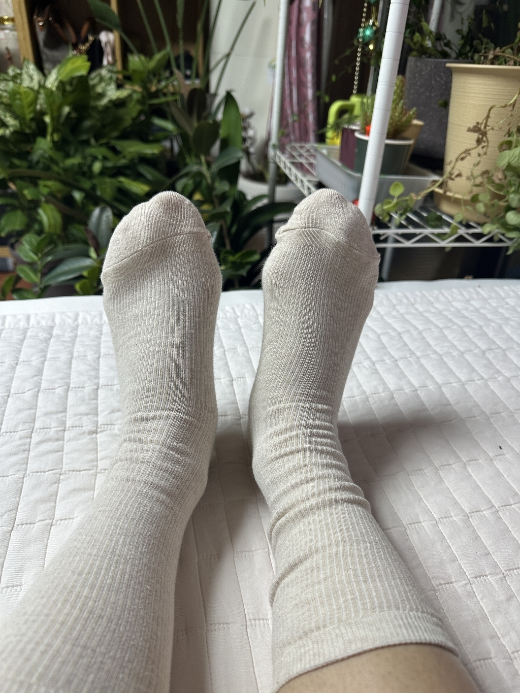 마이싹 골지 롱롱 양말 10켤레 이미지 3