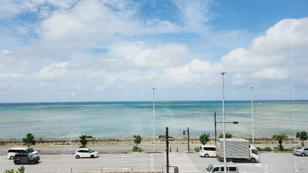 나무커머스 일본 유심칩 개봉기 | 실사용 후기 - 상품 이미지 2