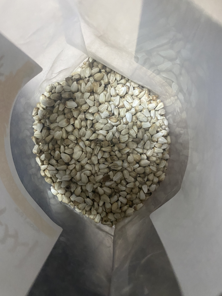 퓨어영 국산 볶은 홍화씨 500g 홍화자 500g, 1개 이미지 2