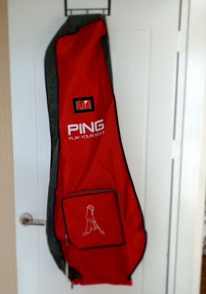 핑 베이직 항공커버 이미지 3