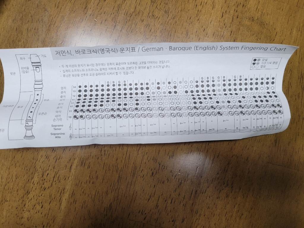 자일러 저먼식 리코더 SER-G 실사용 후기 | 효과 있을까? - 상품 이미지 2