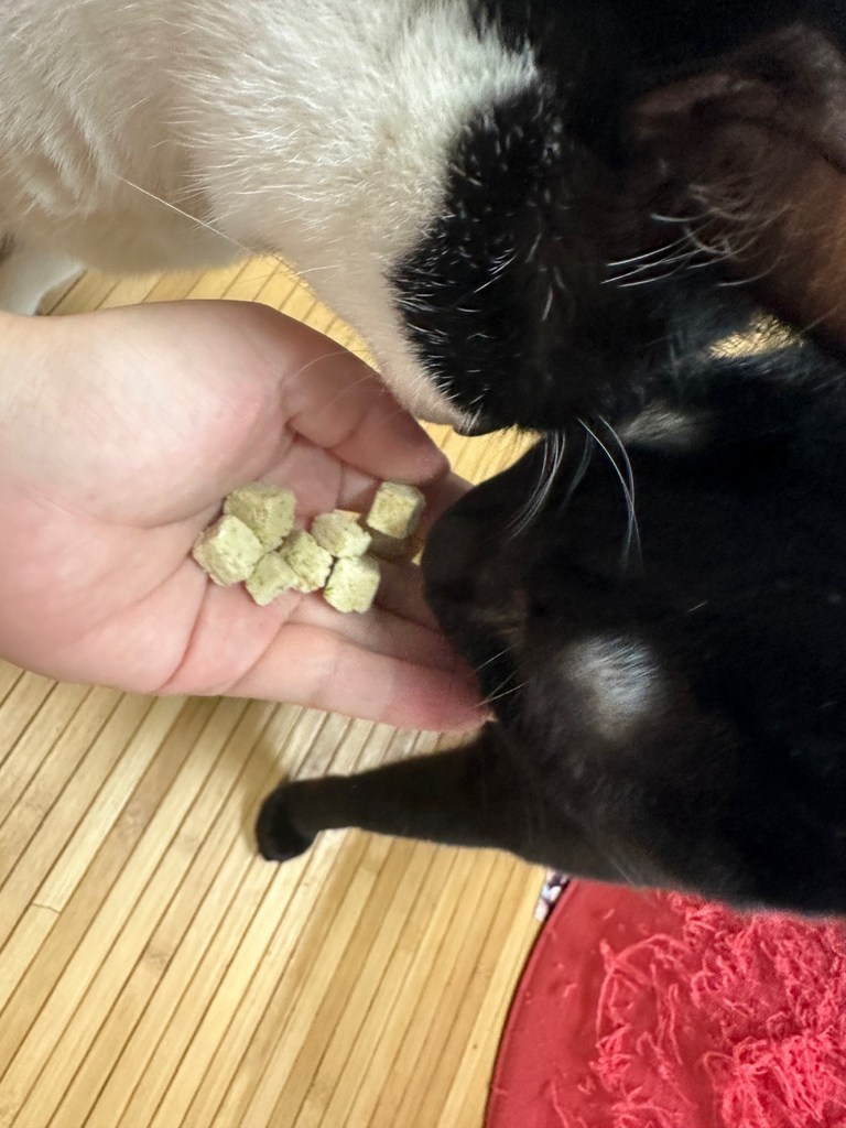 테비트릿 동결건조 점보 몬스터 이미지 4