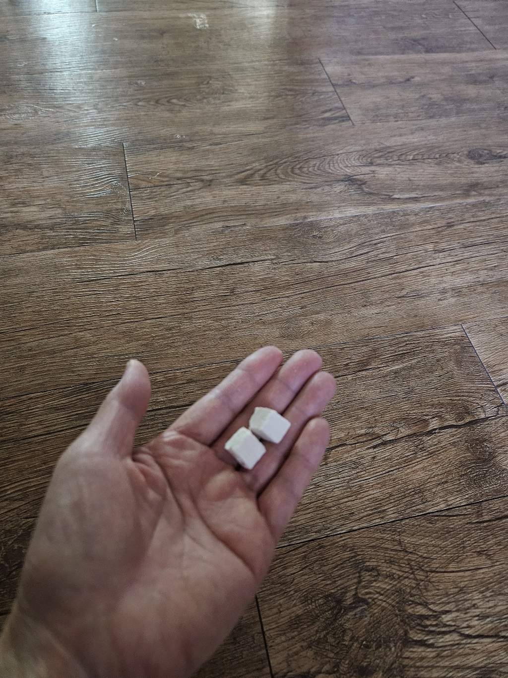 테비트릿 동결건조 점보 이미지 4