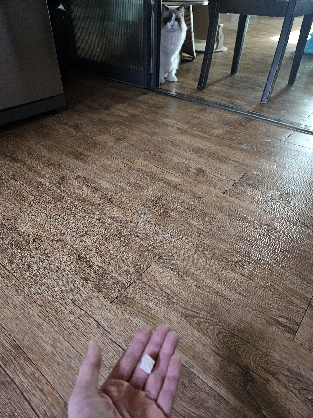 테비트릿 동결건조 점보 이미지 3