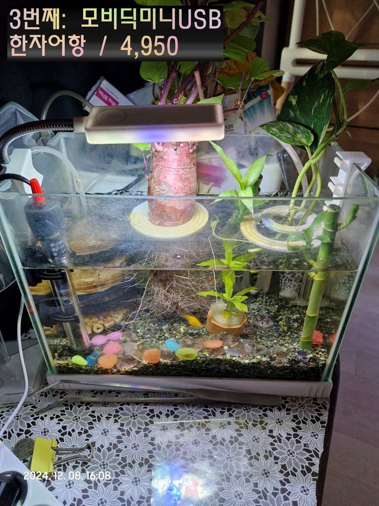 모비딕 미니 아쿠아리움 라이트 ML-03 USB, 1개 이미지 3