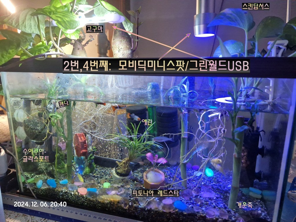 모비딕 미니 아쿠아리움 라이트 ML-03 USB, 1개 솔직 후기 | 실제 사용자 리뷰 총정리 - 상품 이미지 2