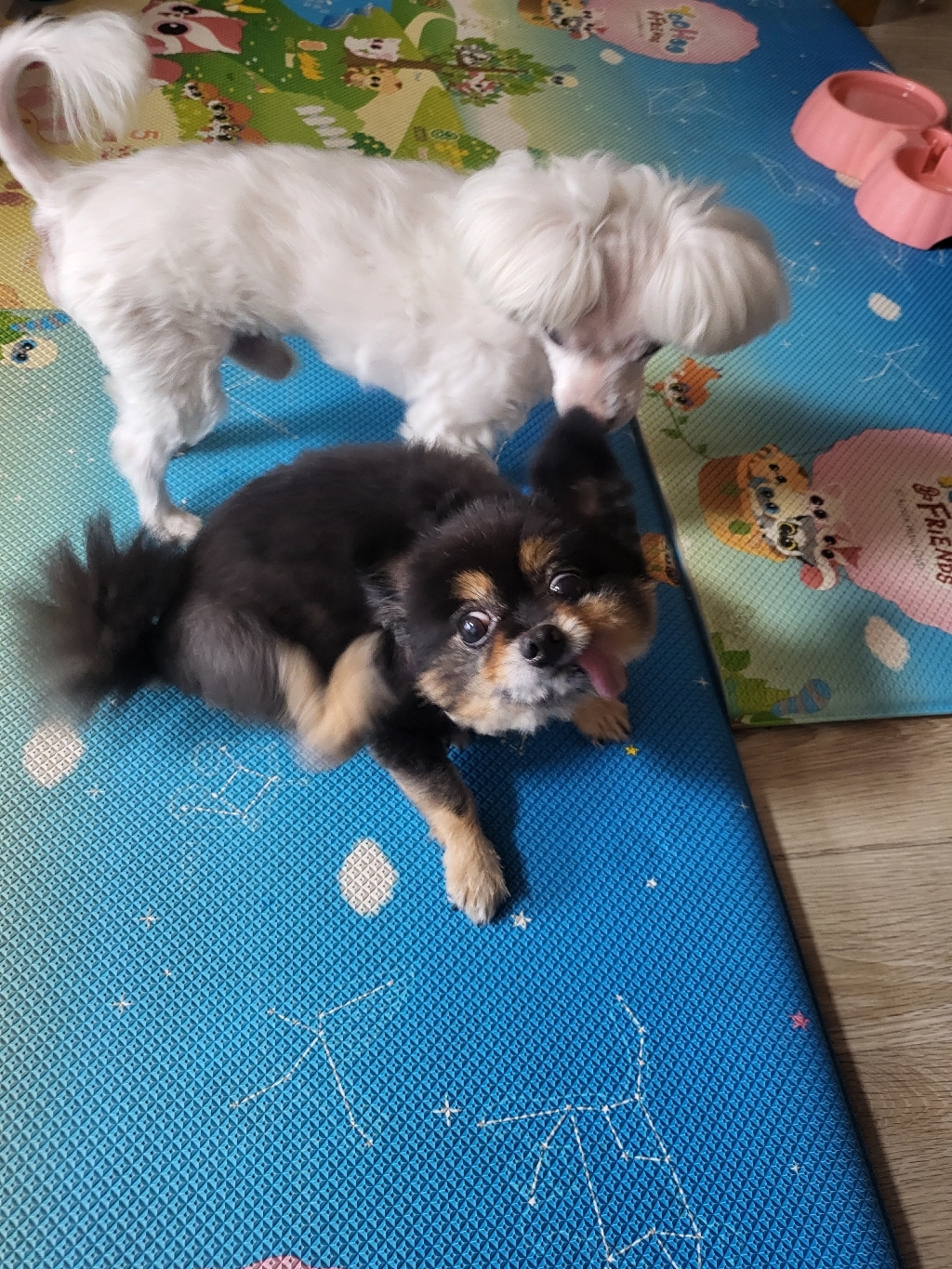 리뷰 이미지
