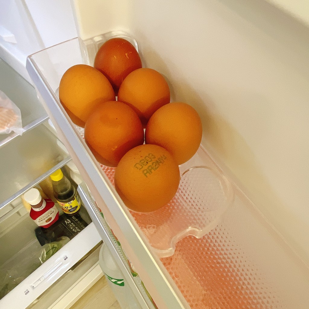 캐리어 클라윈드 슬림 255L 2도어 냉장고 방문설치 개봉기 | 실사용 후기 - 상품 이미지 4