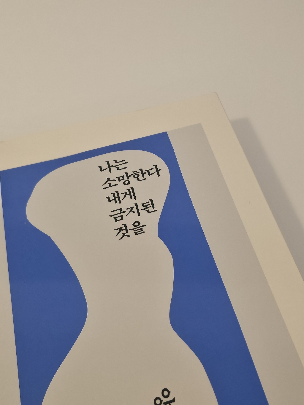 나는 소망한다 내게 금지된 것을 이미지 4