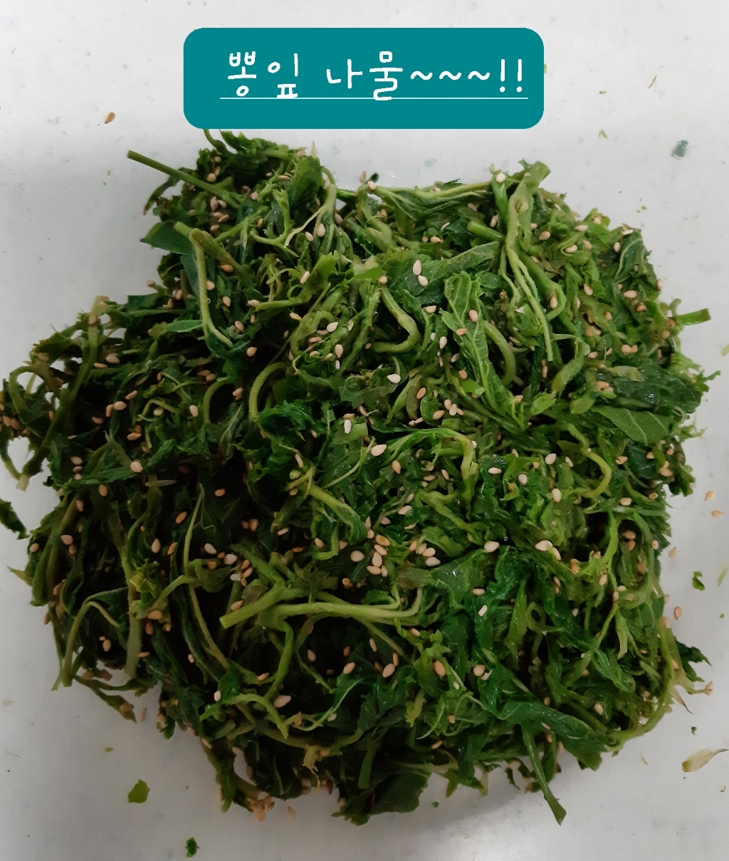 조은약초 뽕잎가루 200g, 1개 이미지 2