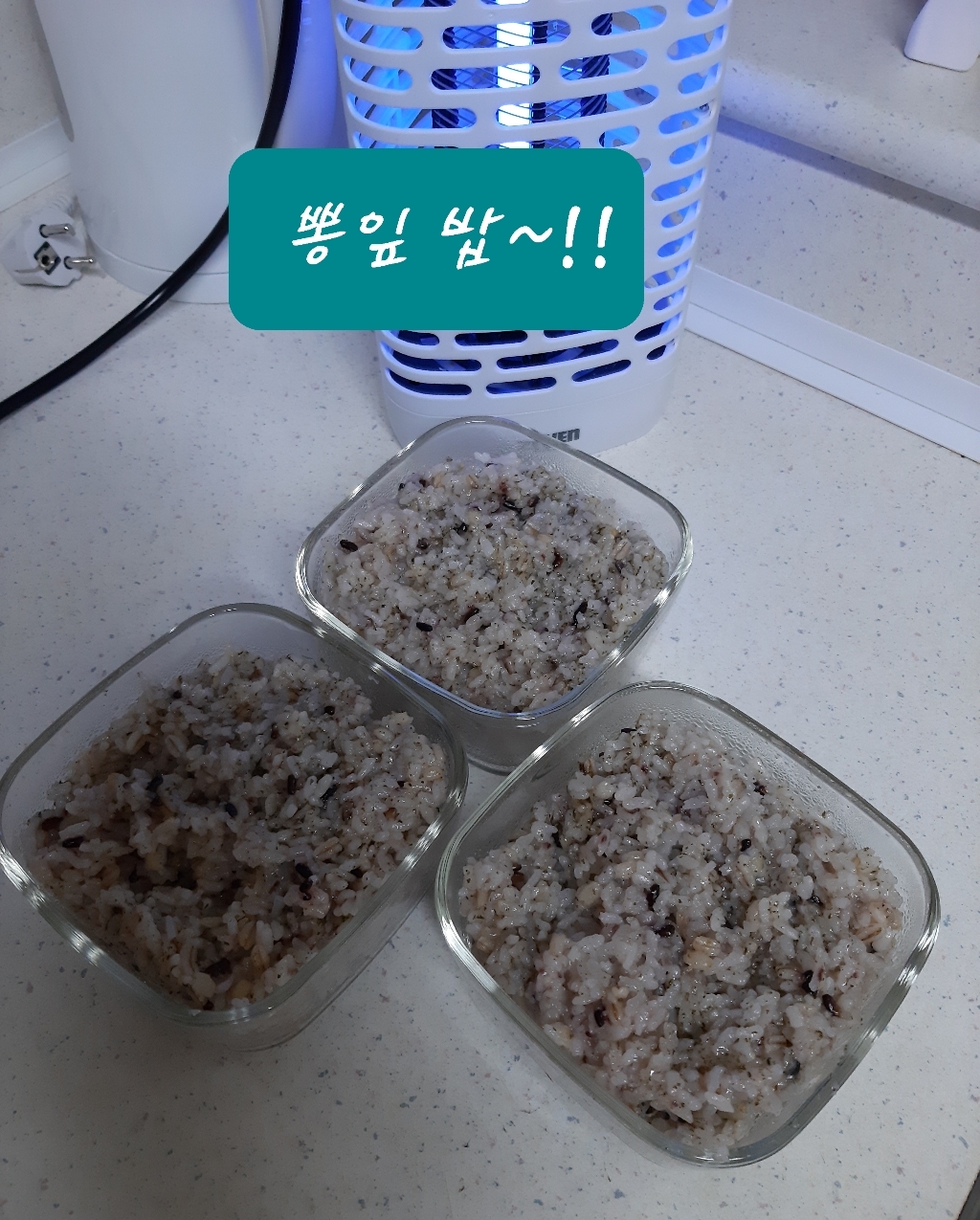 조은약초 뽕잎가루 200g, 1개 이미지 4