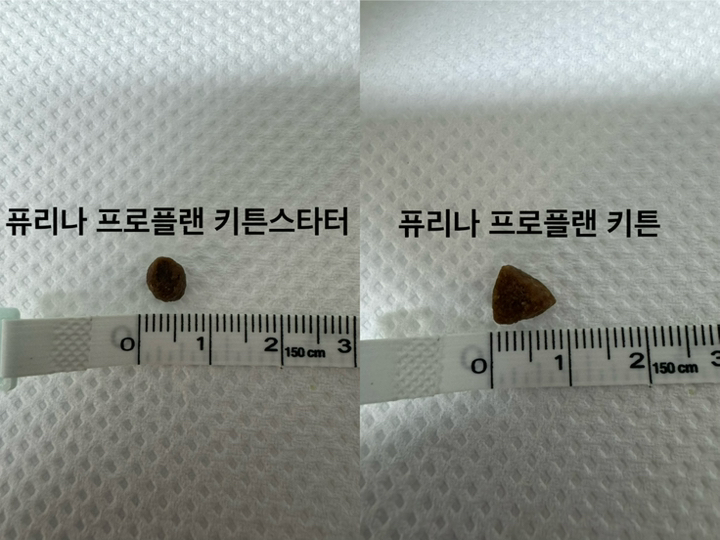 프로플랜 키튼 스타터 기능성 사료 이미지 3