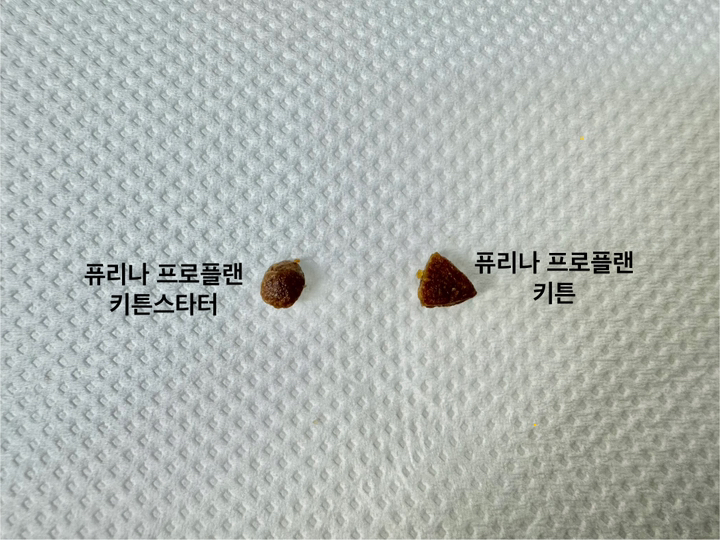 프로플랜 키튼 스타터 기능성 사료 이미지 2