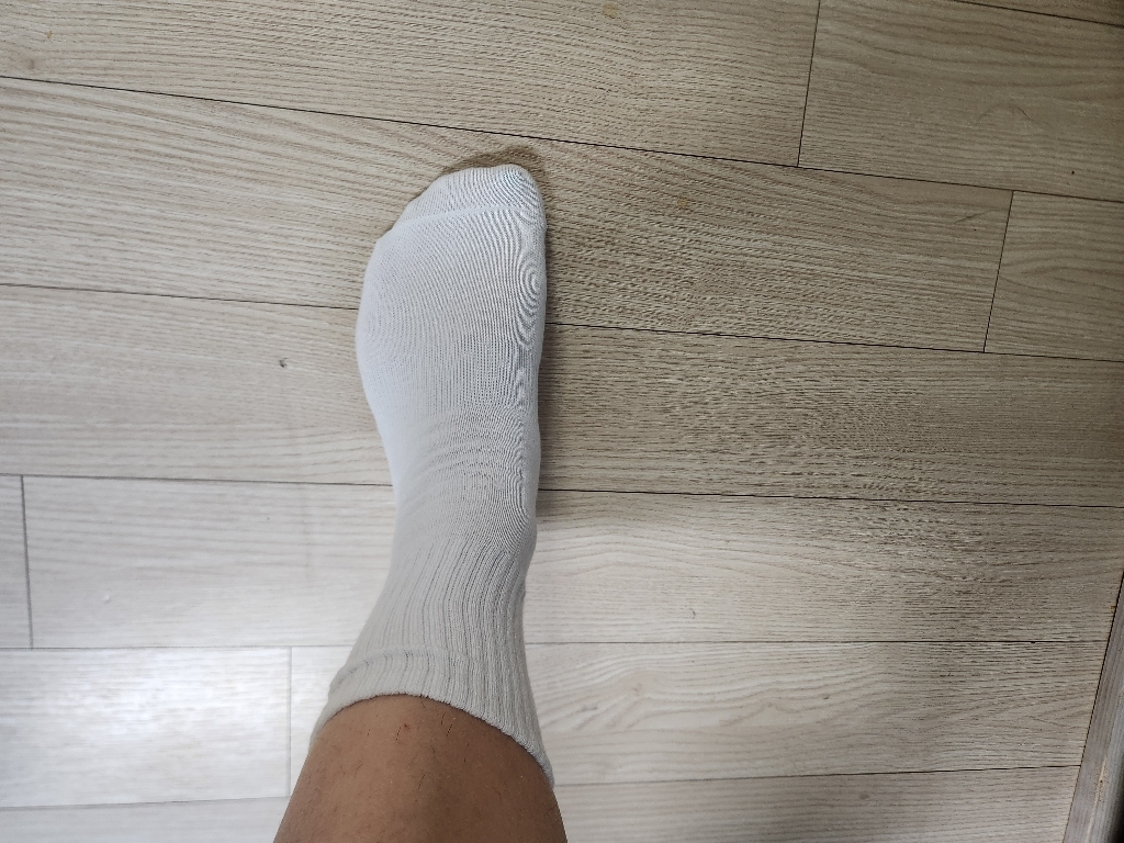 비바슈슈 남성용 쫀쫀하고 목이 긴 무지 중목 양말 8켤레 이미지