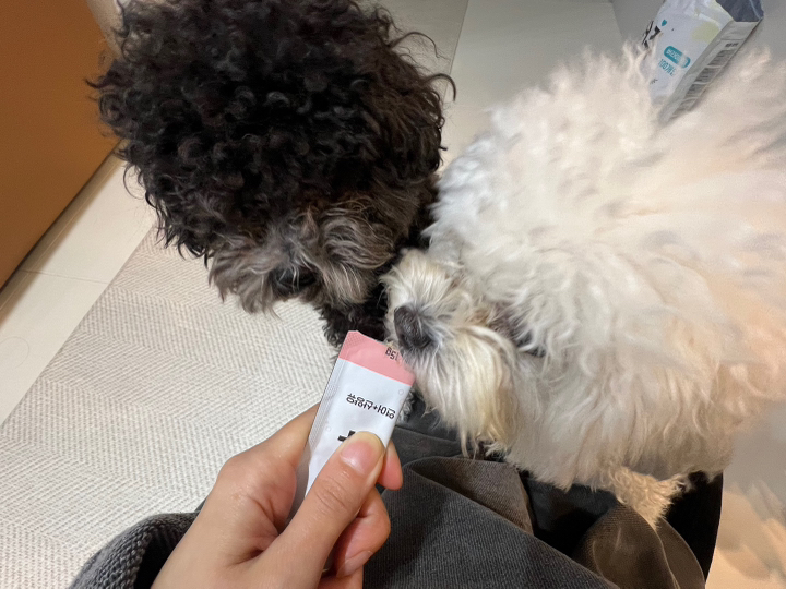 워터츄 짜먹는 강아지간식 대용량 이미지 4