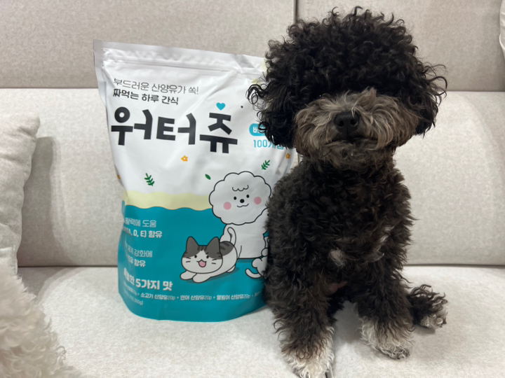 워터츄 짜먹는 강아지간식 대용량 솔직 후기 | 실제 사용자 리뷰 총정리 - 상품 이미지 3